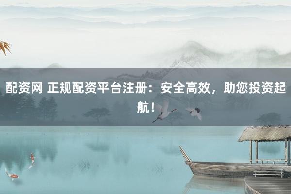 配资网 正规配资平台注册：安全高效，助您投资起航！