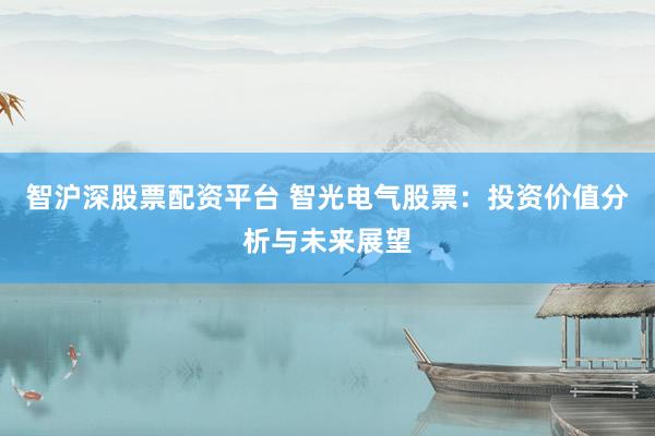 智沪深股票配资平台 智光电气股票：投资价值分析与未来展望