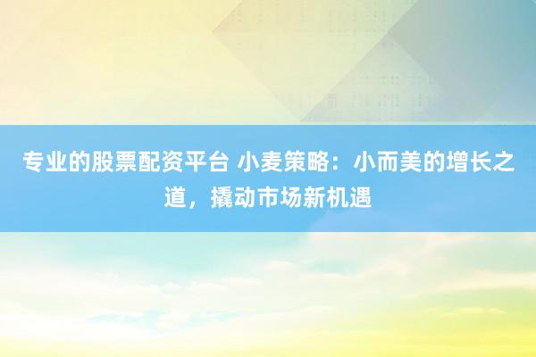 专业的股票配资平台 小麦策略：小而美的增长之道，撬动市场新机遇