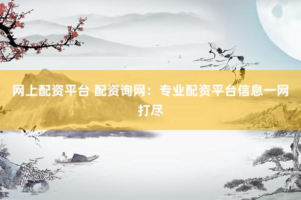 网上配资平台 配资询网：专业配资平台信息一网打尽