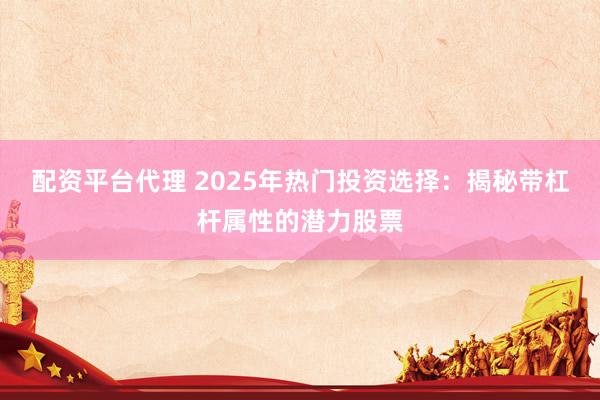 配资平台代理 2025年热门投资选择：揭秘带杠杆属性的潜力股票