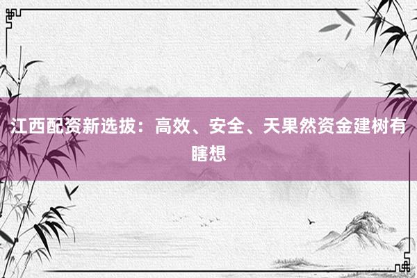 江西配资新选拔：高效、安全、天果然资金建树有瞎想