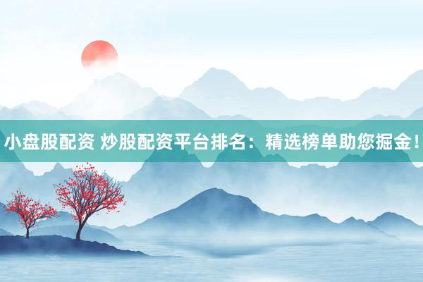 小盘股配资 炒股配资平台排名：精选榜单助您掘金！