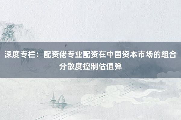 深度专栏：配资佬专业配资在中国资本市场的组合分散度控制估值弹