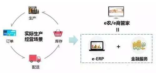 助力企业高效发展,轻松实现电商梦,为您创造更大价值